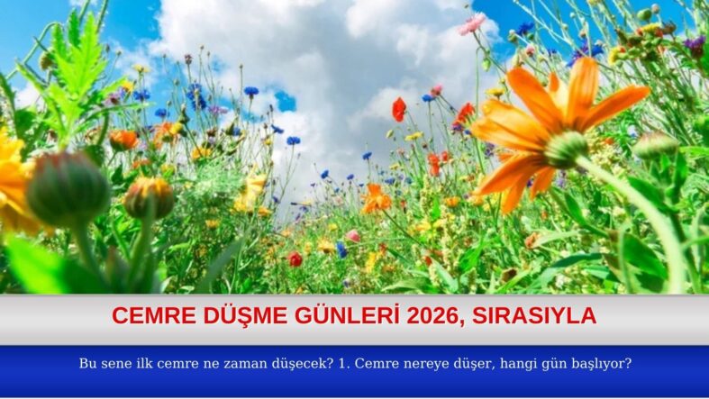 Green and Cream Modern Makeup Facebook Cover (4)